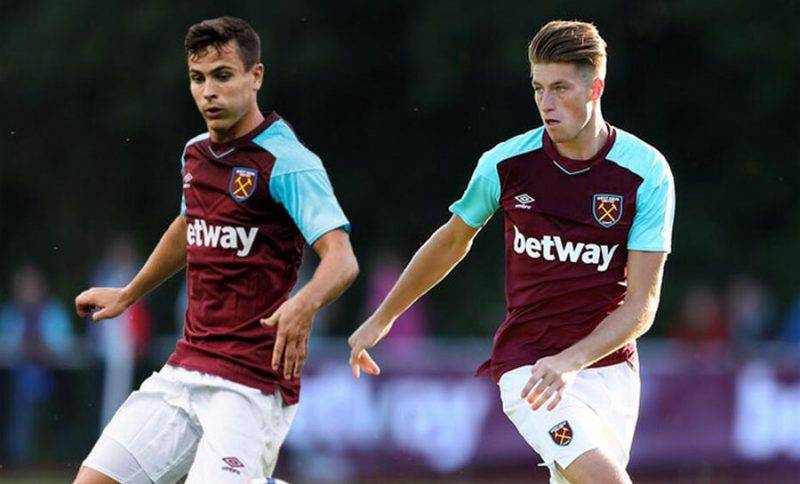 灰熊面对的 灰熊面对的